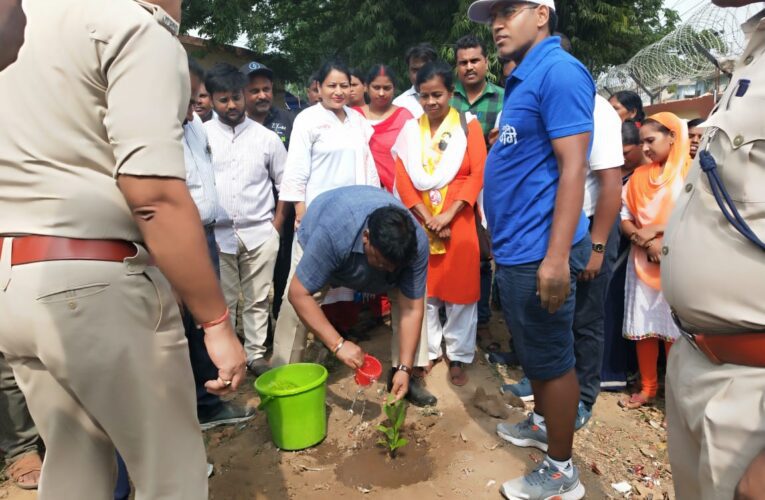 पेड़ों के प्रति उतना ही सचेत रहे जितना स्वयं के प्रति है: उपायुक्त