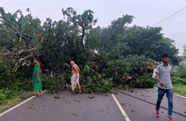 Godda:सड़क पर पेड़ गिरने से यातायात बाधित